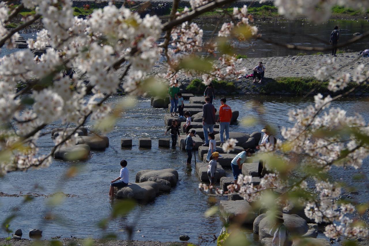 Kyonoya Senteur Goshohigashi Lejlighed Kyoto Eksteriør billede